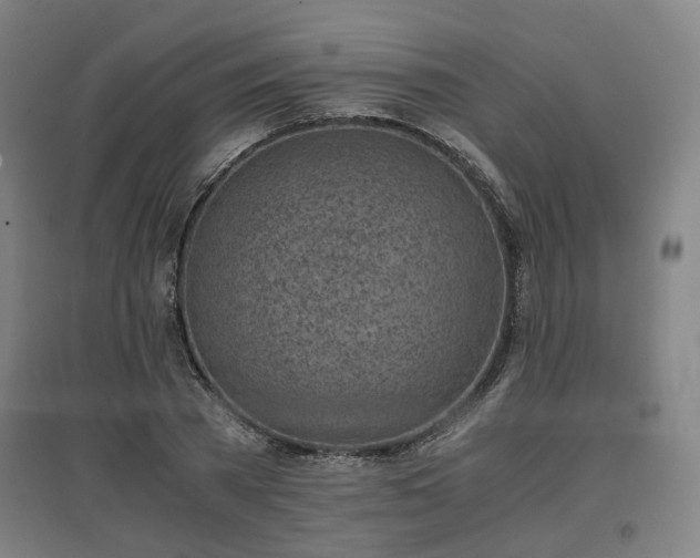 X0000096960785200802151235