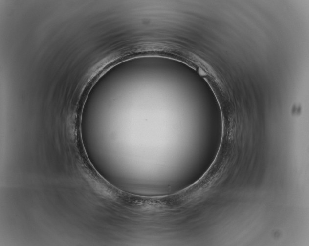 X0000096960786200802151235