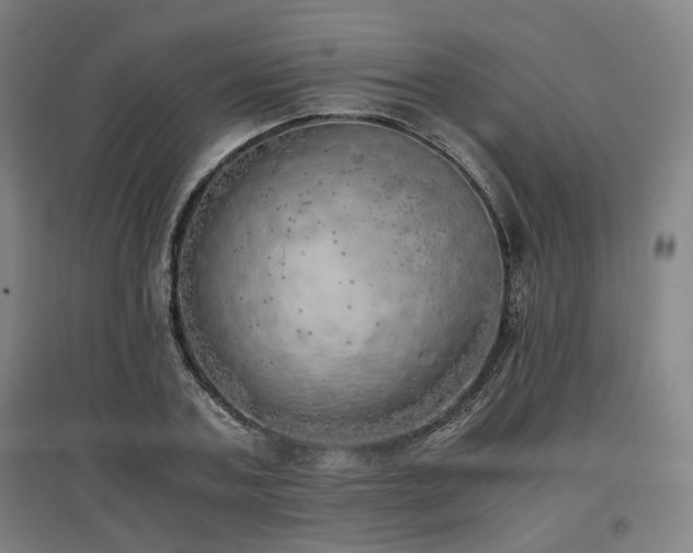 X0000096960787200802151235