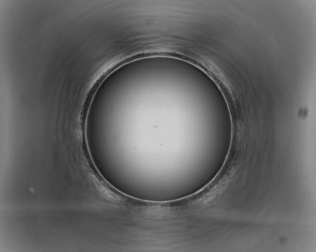 X0000096960789200802151235