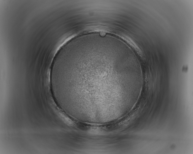 X0000096960790200802151235