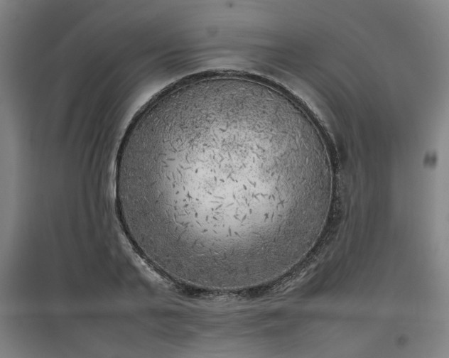 X0000096960791200802151235