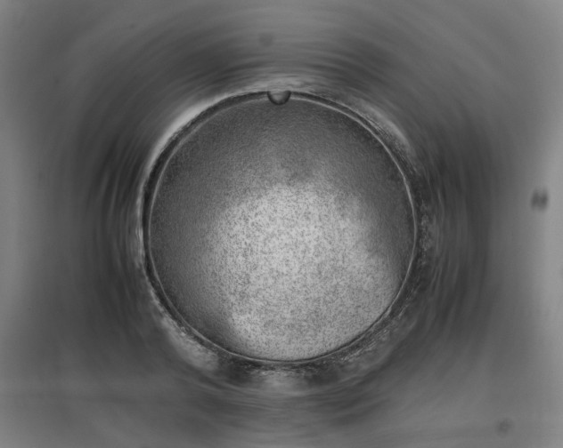 X0000096960792200802151235