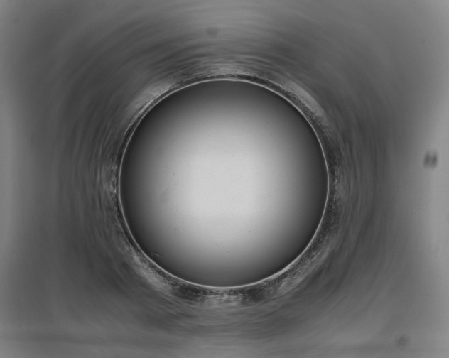 X0000096960793200802151234