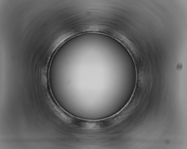 X0000096960794200802151234