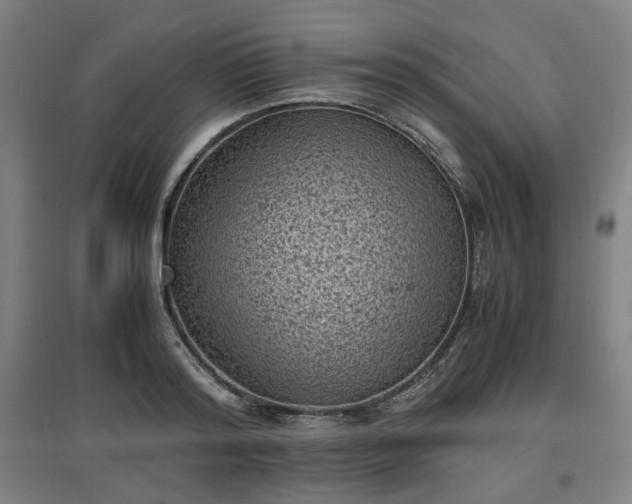 X0000096960796200802151234