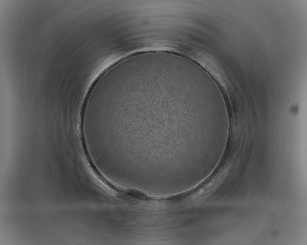 X0000096960797200802151234