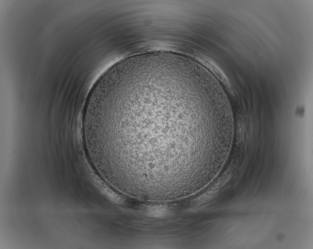 X0000096960798200802151234