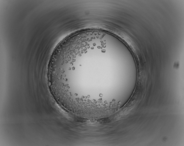 X0000096960799200802151234