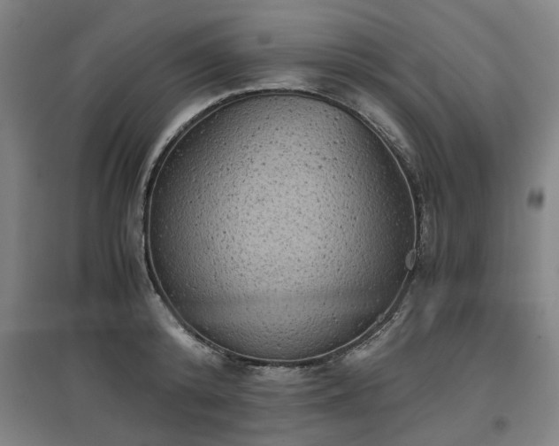 X0000096960800200802151234