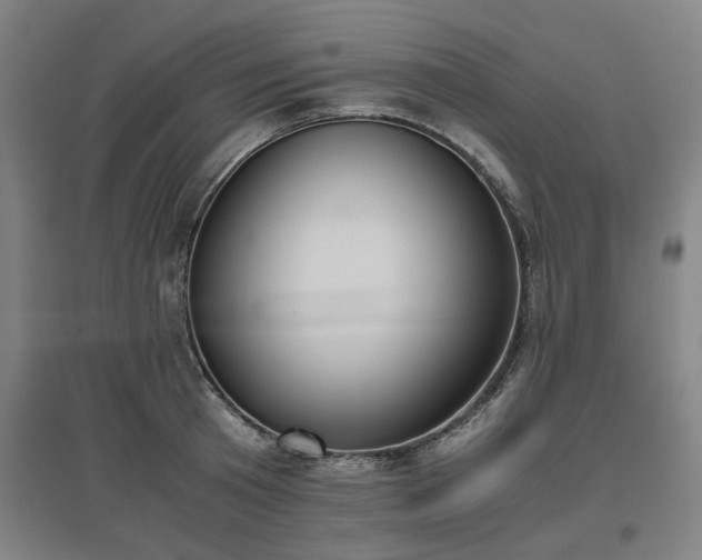 X0000096960801200802151234