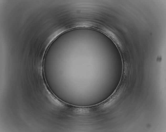 X0000096960802200802151234