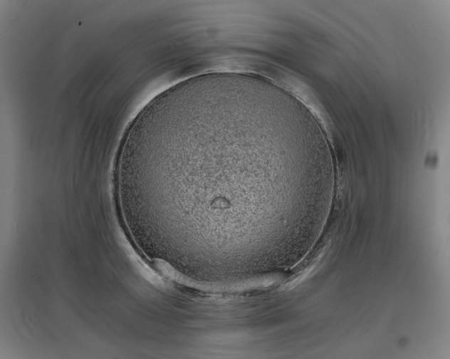 X0000096960803200802151234