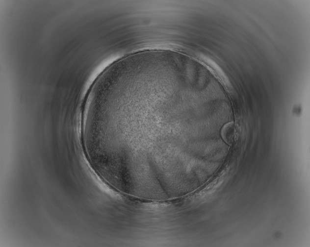 X0000096960804200802151234