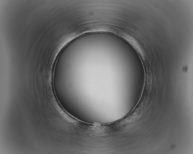 X0000096960805200802151234