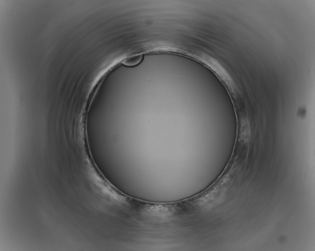 X0000096960806200802151234