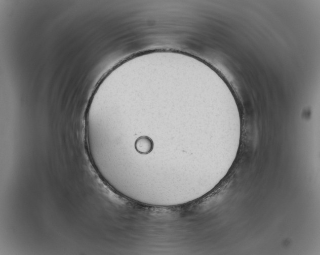 X0000096960807200802151234