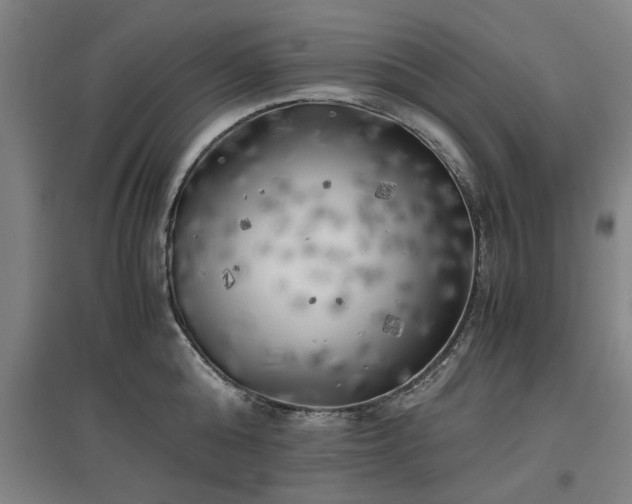X0000096960808200802151234