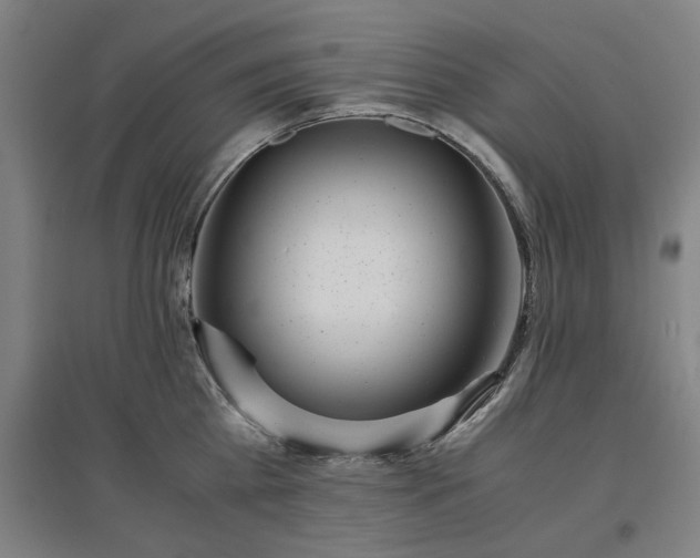 X0000096960809200802151234