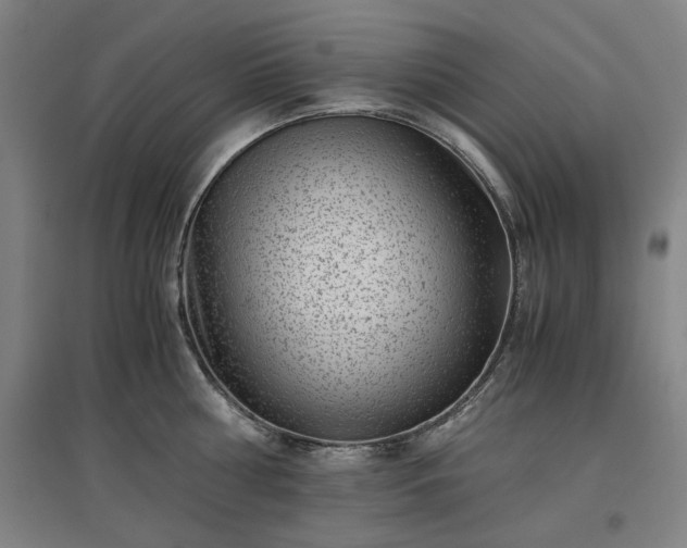 X0000096960810200802151234