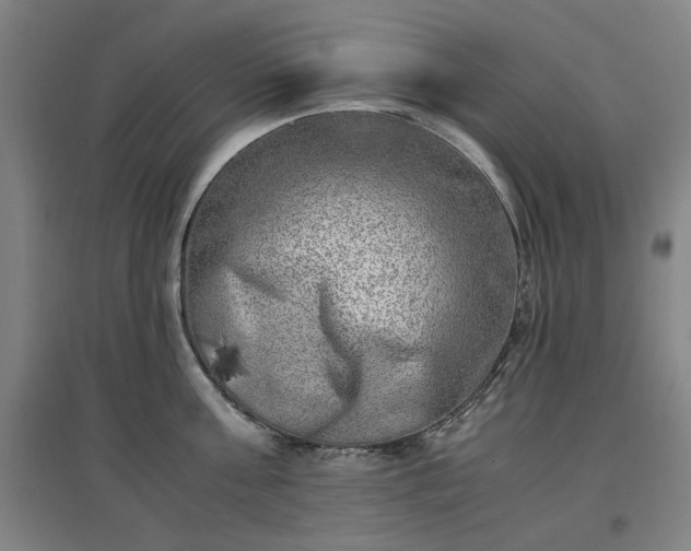 X0000096960811200802151234