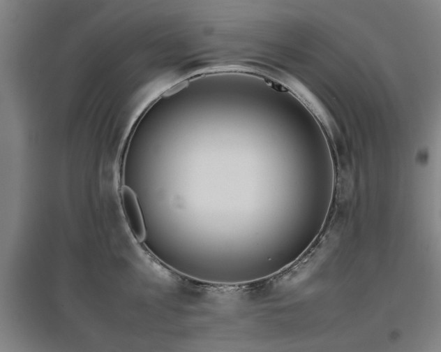 X0000096960813200802151234