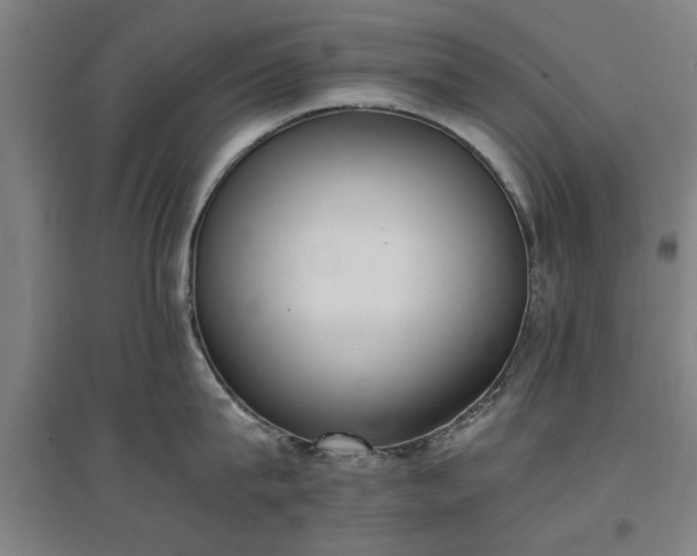 X0000096960815200802151234