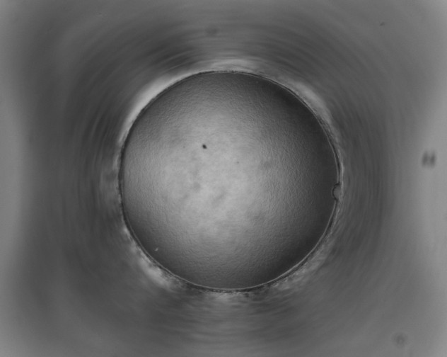 X0000096960816200802151234