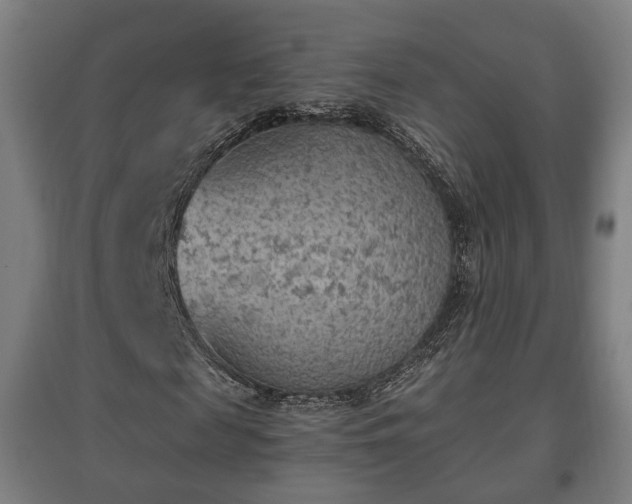 X0000096960817200802151234