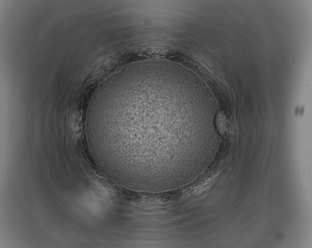 X0000096960818200802151234