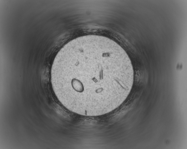 X0000096960820200802151234