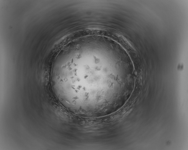 X0000096960821200802151234