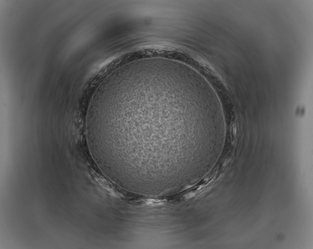 X0000096960822200802151234