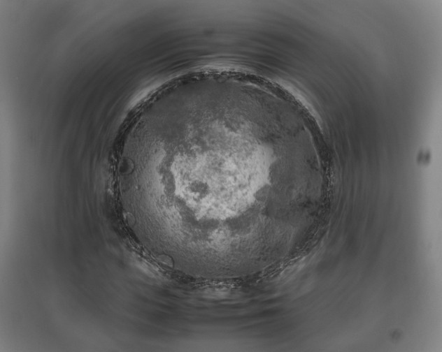 X0000096960823200802151234