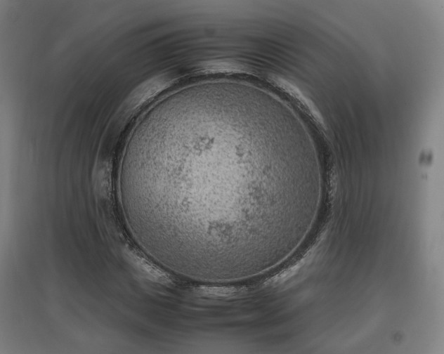 X0000096960825200802151234