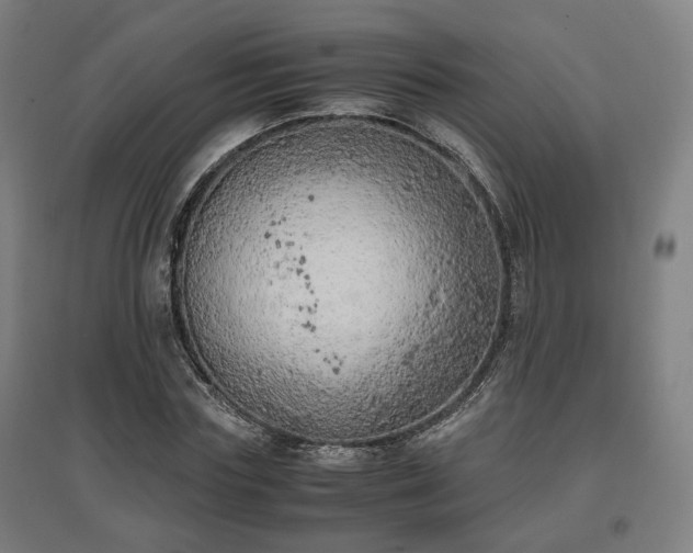 X0000096960827200802151234