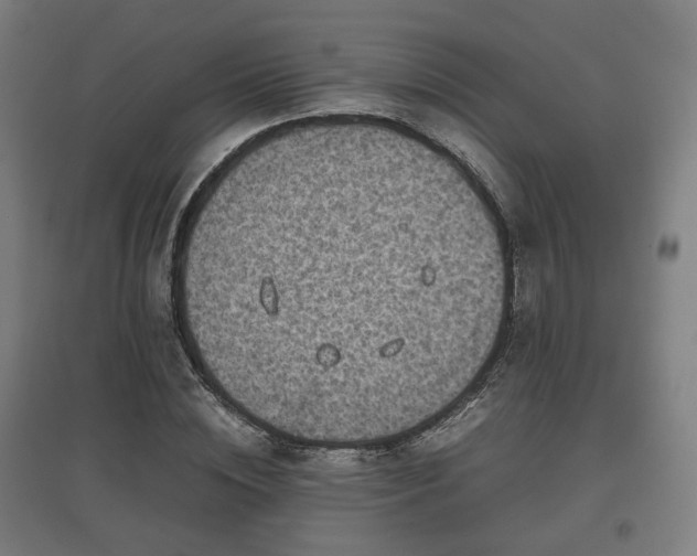 X0000096960828200802151234