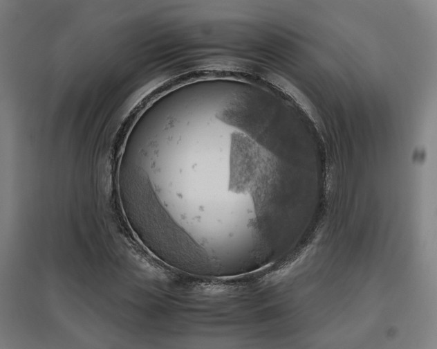 X0000096960829200802151234