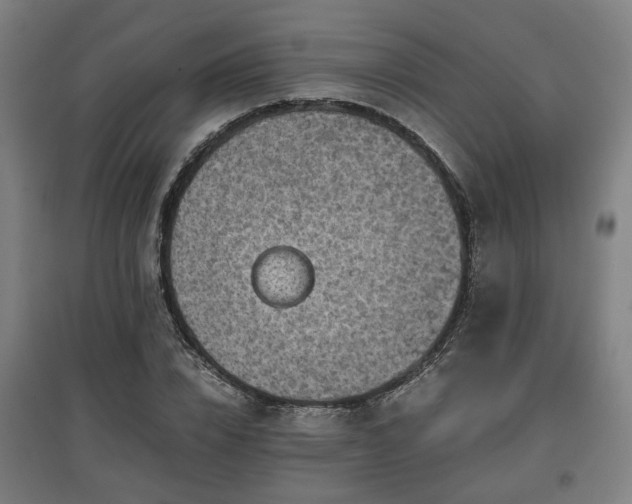 X0000096960832200802151234