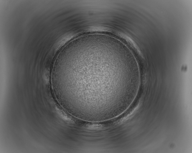 X0000096960833200802151234