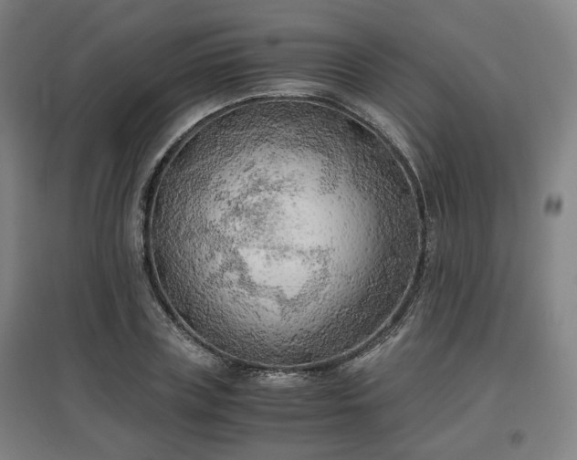 X0000096960835200802151234