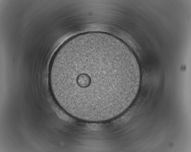 X0000096960836200802151234