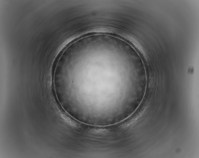 X0000096960837200802151234