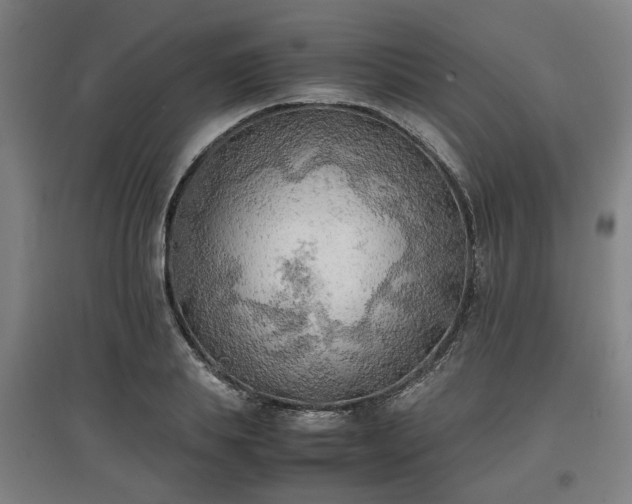 X0000096960839200802151234