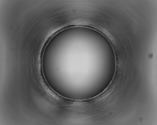 X0000096960840200802151234