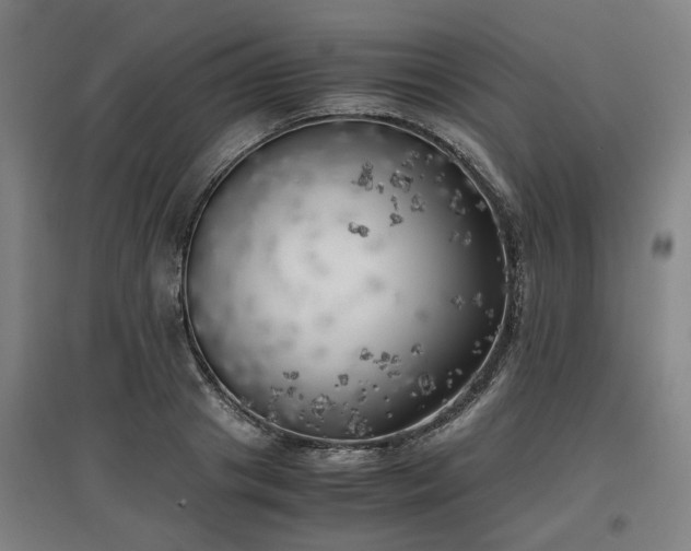 X0000096960841200802151234