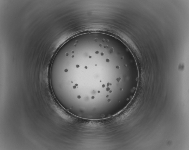 X0000096960842200802151234