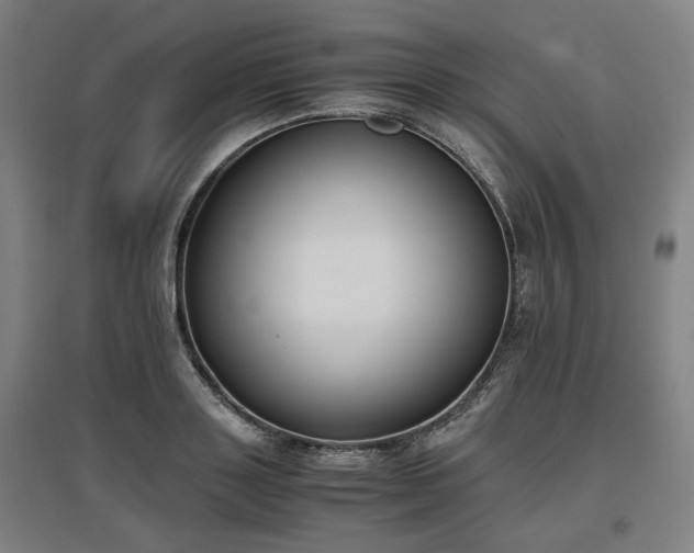 X0000096960843200802151234