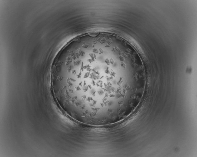 X0000096960844200802151234