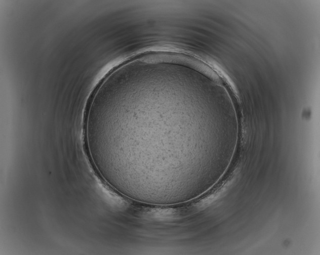 X0000096960845200802151234